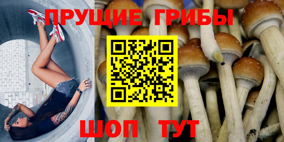 Галлюциногенные грибы Psilocybe Учалы